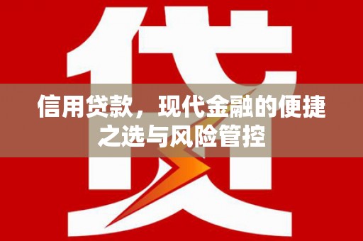 田尾信用贷款，现代金融的便捷之选与风险管控