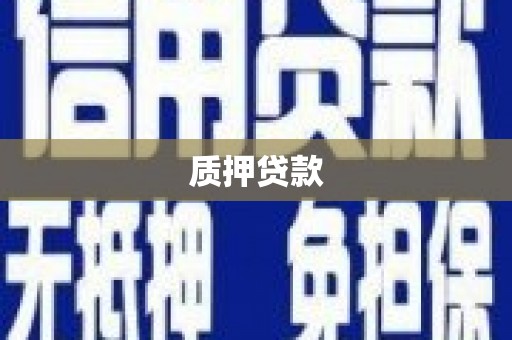 田林质押贷款