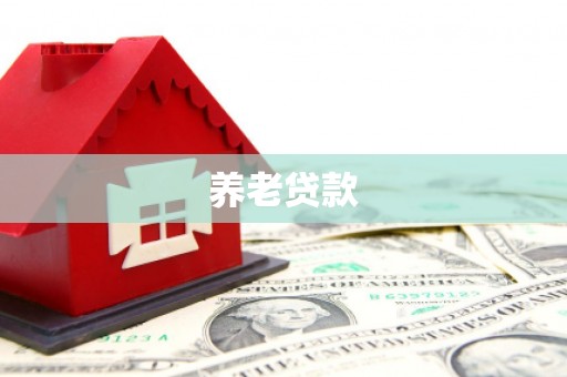 浦东养老贷款