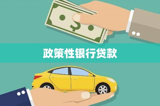 林甸政策性银行贷款