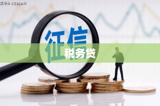 克拉玛依税务贷