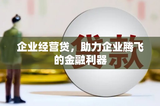 达孜企业经营贷，助力企业腾飞的金融利器