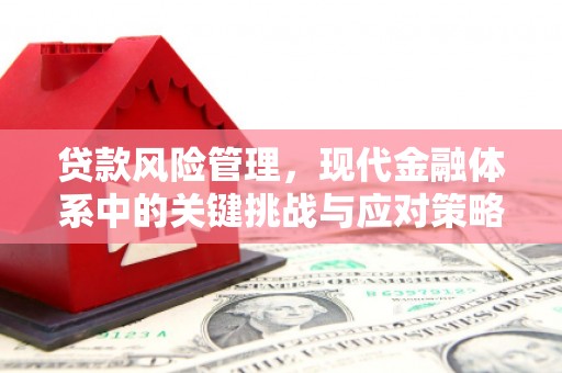 西平贷款风险管理，现代金融体系中的关键挑战与应对策略