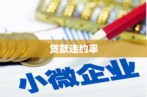 松溪贷款违约率