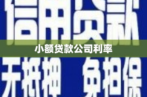 淮上小额贷款公司利率