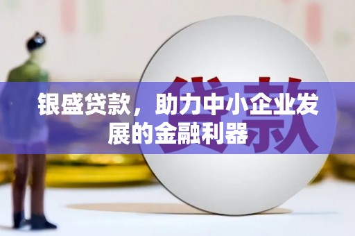 沈北新区银盛贷款，助力中小企业发展的金融利器