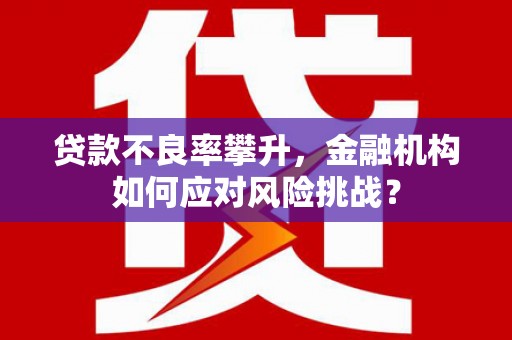 西峡贷款不良率攀升，金融机构如何应对风险挑战？