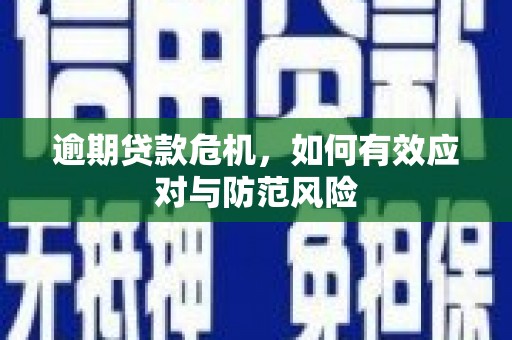 盐田逾期贷款危机，如何有效应对与防范风险
