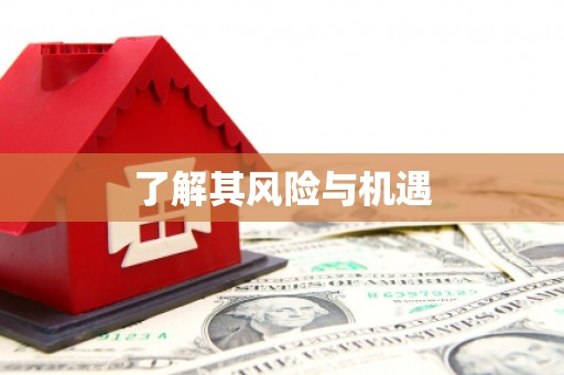 双清了解其风险与机遇