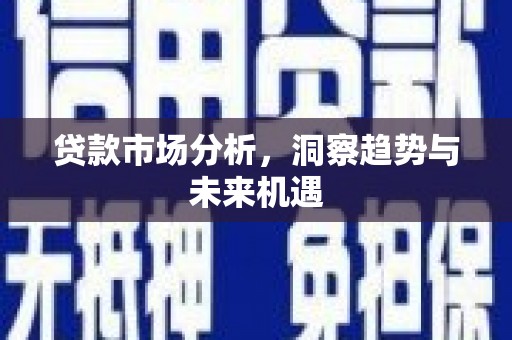 临西贷款市场分析，洞察趋势与未来机遇