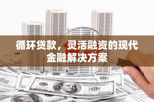武川循环贷款，灵活融资的现代金融解决方案