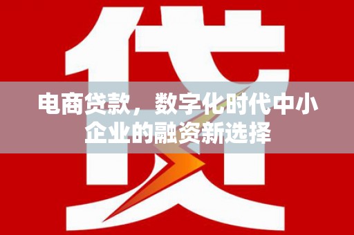 湛江电商贷款，数字化时代中小企业的融资新选择