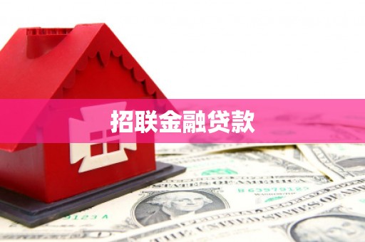 平舆招联金融贷款