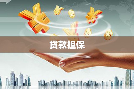 玛家贷款担保