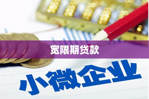 南溪宽限期贷款