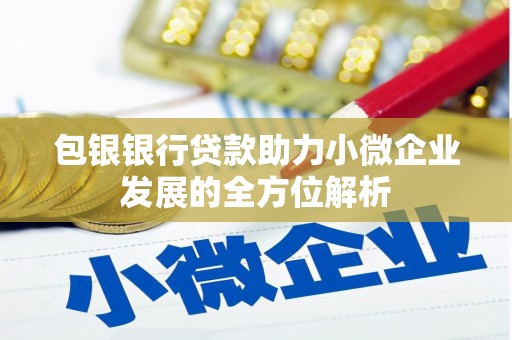 九龙包银银行贷款助力小微企业发展的全方位解析