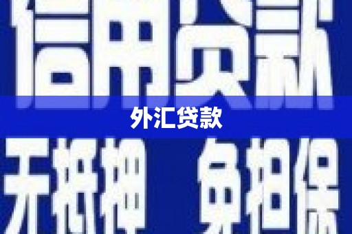 乐至外汇贷款