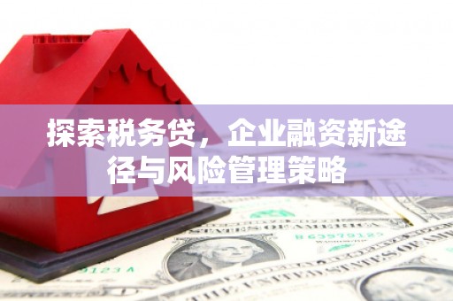 龙湾探索税务贷，企业融资新途径与风险管理策略