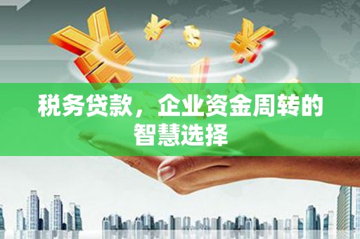 盐湖税务贷款，企业资金周转的智慧选择