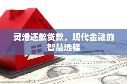 岱岳灵活还款贷款，现代金融的智慧选择