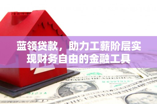 邵阳县蓝领贷款，助力工薪阶层实现财务自由的金融工具