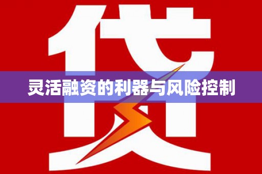 洛扎灵活融资的利器与风险控制
