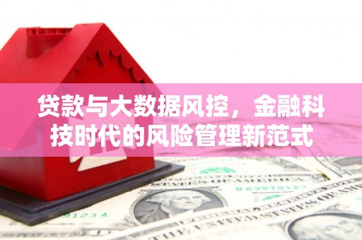 镇雄贷款与大数据风控，金融科技时代的风险管理新范式