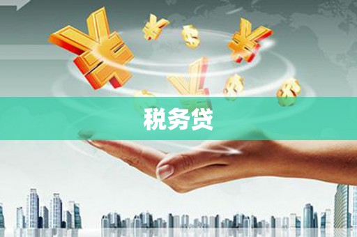 九龙税务贷