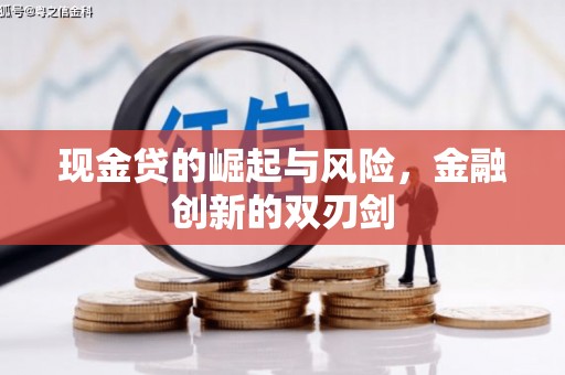 维西现金贷的崛起与风险，金融创新的双刃剑