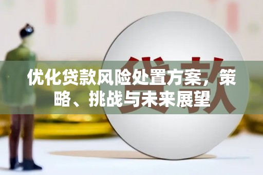 燕郊优化贷款风险处置方案，策略、挑战与未来展望
