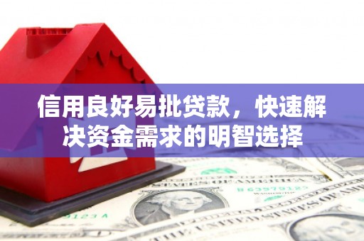纳溪信用良好易批贷款，快速解决资金需求的明智选择