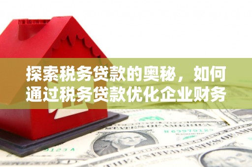 广宗探索税务贷款的奥秘，如何通过税务贷款优化企业财务