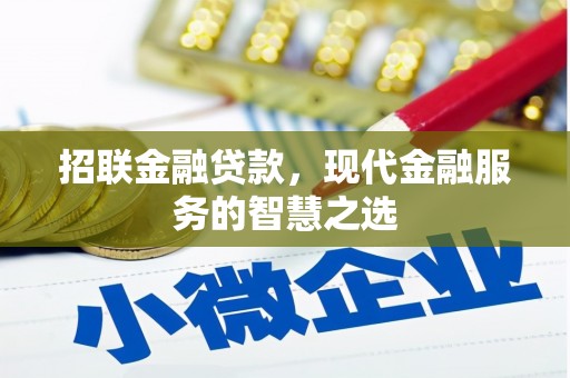 秦淮招联金融贷款，现代金融服务的智慧之选