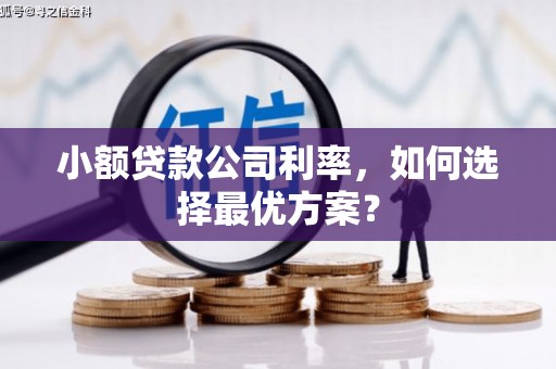 燕郊小额贷款公司利率，如何选择最优方案？