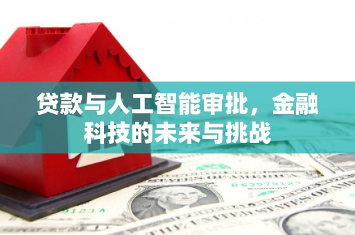 安溪贷款与人工智能审批，金融科技的未来与挑战