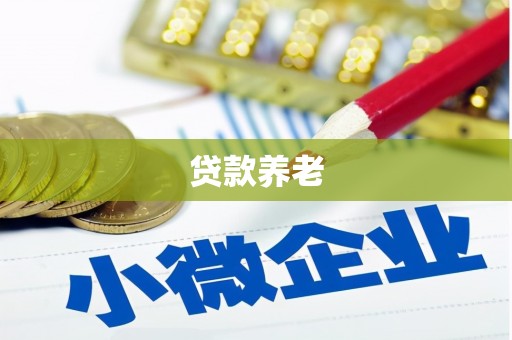 陕西贷款养老