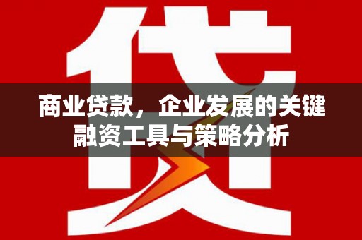 邛崃商业贷款，企业发展的关键融资工具与策略分析