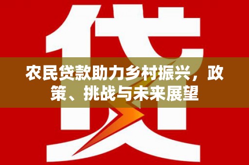 泗礁农民贷款助力乡村振兴，政策、挑战与未来展望