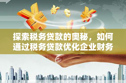 富蕴探索税务贷款的奥秘，如何通过税务贷款优化企业财务