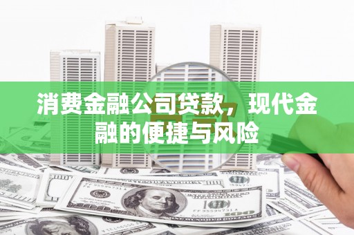 云龙消费金融公司贷款，现代金融的便捷与风险