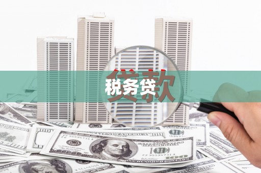 恒春税务贷