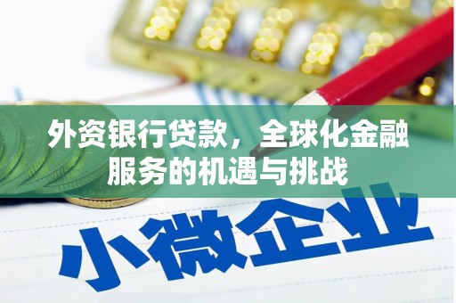 牡丹外资银行贷款，全球化金融服务的机遇与挑战