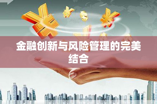 阜沙金融创新与风险管理的完美结合