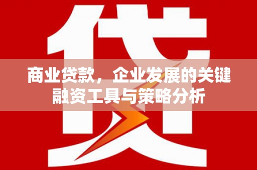 仙游商业贷款，企业发展的关键融资工具与策略分析