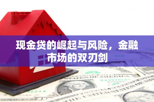 固始现金贷的崛起与风险，金融市场的双刃剑
