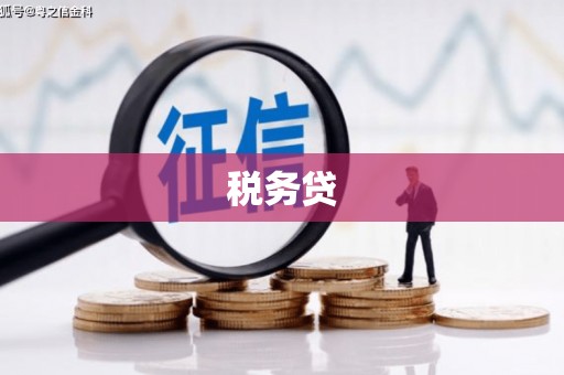 大埔税务贷