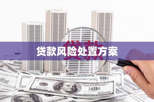 昌邑贷款风险处置方案