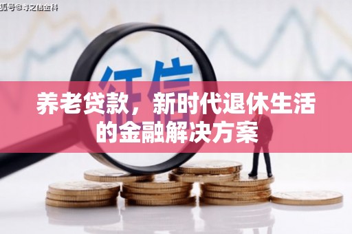 南州养老贷款，新时代退休生活的金融解决方案