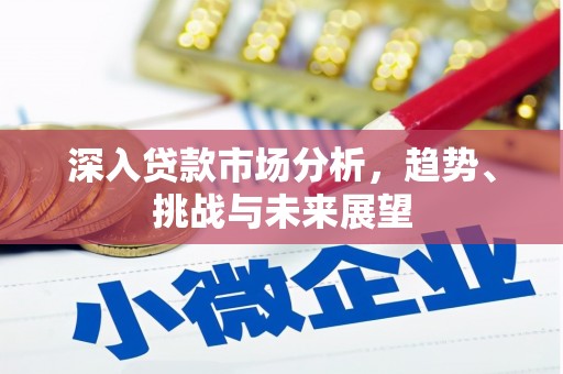 中山深入贷款市场分析，趋势、挑战与未来展望