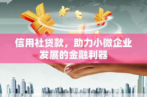如皋信用社贷款，助力小微企业发展的金融利器